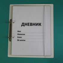 Дневник школьника (с полным набором карточек) - «globural.ru» - Ангарск