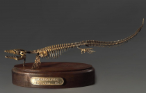 Модель скелета мозазавра Mosasaurus - «globural.ru» - Ангарск