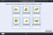 Интерактивные курсы. Биология 8 класс. Расширенный - «globural.ru» - Ангарск