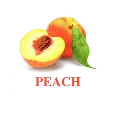 "Fruit" ("Фрукты") английские карточки Домана - «globural.ru» - Ангарск