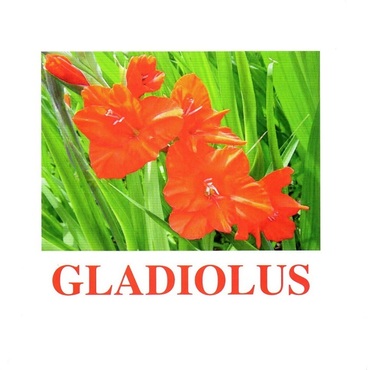 "Flowers-1" ("Цветы-1") английские карточки Домана - «globural.ru» - Ангарск