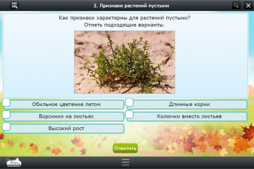 Интерактивные курсы. Окружающий мир 3 класс. Базовый - «globural.ru» - Ангарск