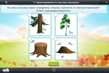 Интерактивные курсы. Окружающий мир 1 класс. Базовый - «globural.ru» - Ангарск