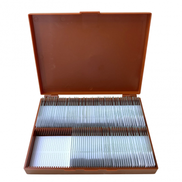 Комплект микропрепаратов по анатомии, ботанике, зоологии, общей биологии - «globural.ru» - Ангарск