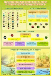 Стенд "Классификация животного мира" - «globural.ru» - Ангарск